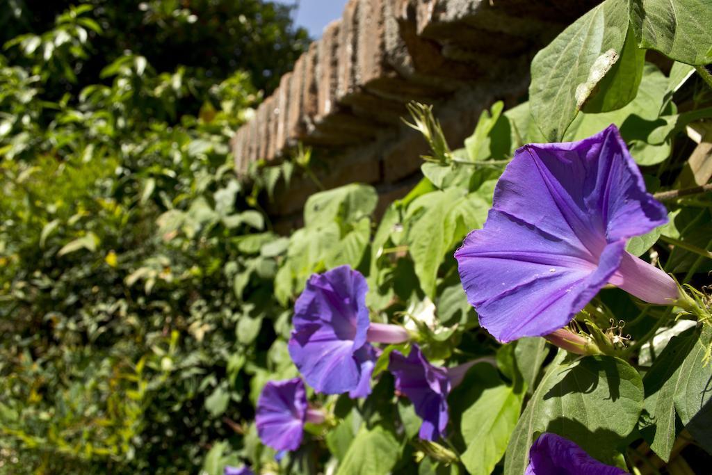 Catorceonce Bed & Breakfast Talca  Exterior foto